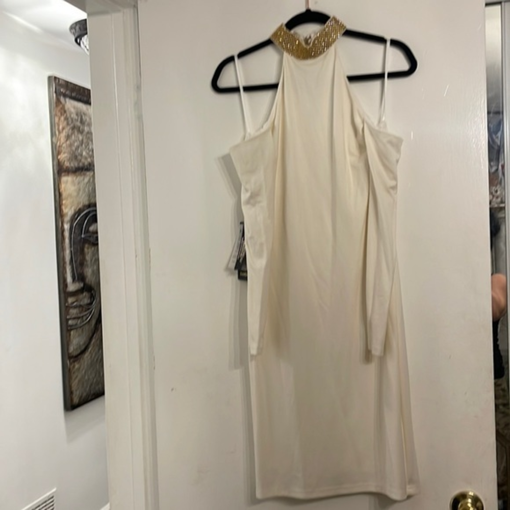 Bebe‎ glamorous dress